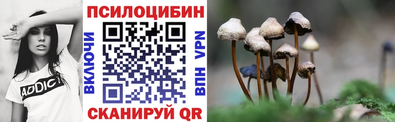 цены Котово ссылка на мегу рабочий сайт маркетплейс какой сайт Псилоцибиновые грибы Cubensis
